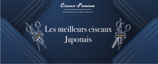 Meilleurs ciseaux coiffure Japonais