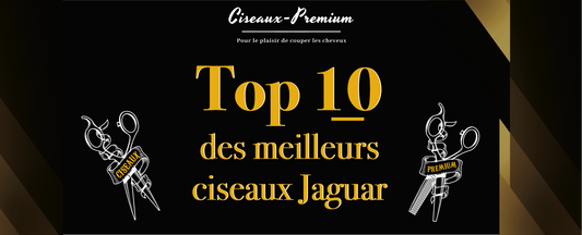 Top 10 des meilleurs ciseaux Jaguar en 2021 - Ciseaux Premium®