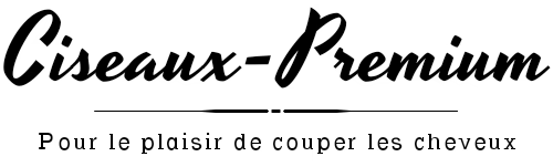 Ciseaux Premium