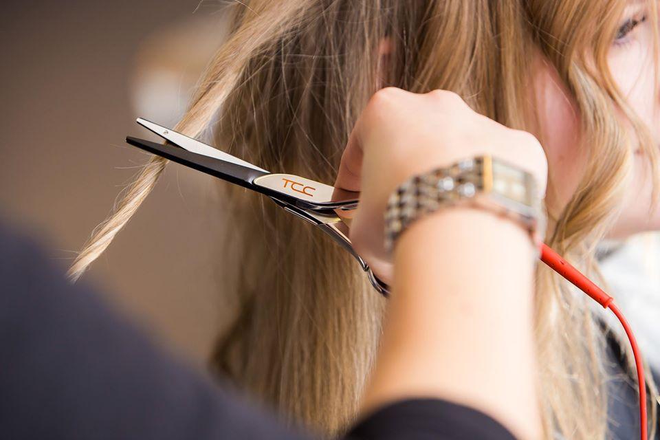 Ciseaux de coiffure - Ciseaux premium - Tondeo - Jaguar 